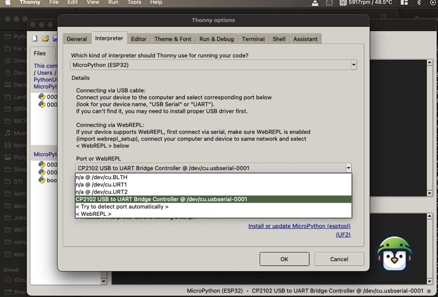 Thonny Options panel - choose USB interface for WebREPL